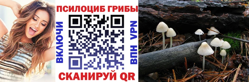 кракен ONION  Медынь  Галлюциногенные грибы мухоморы 