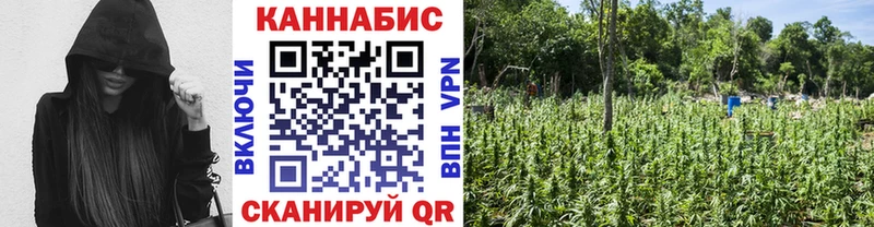 darknet телеграм  Медынь  Конопля White Widow 